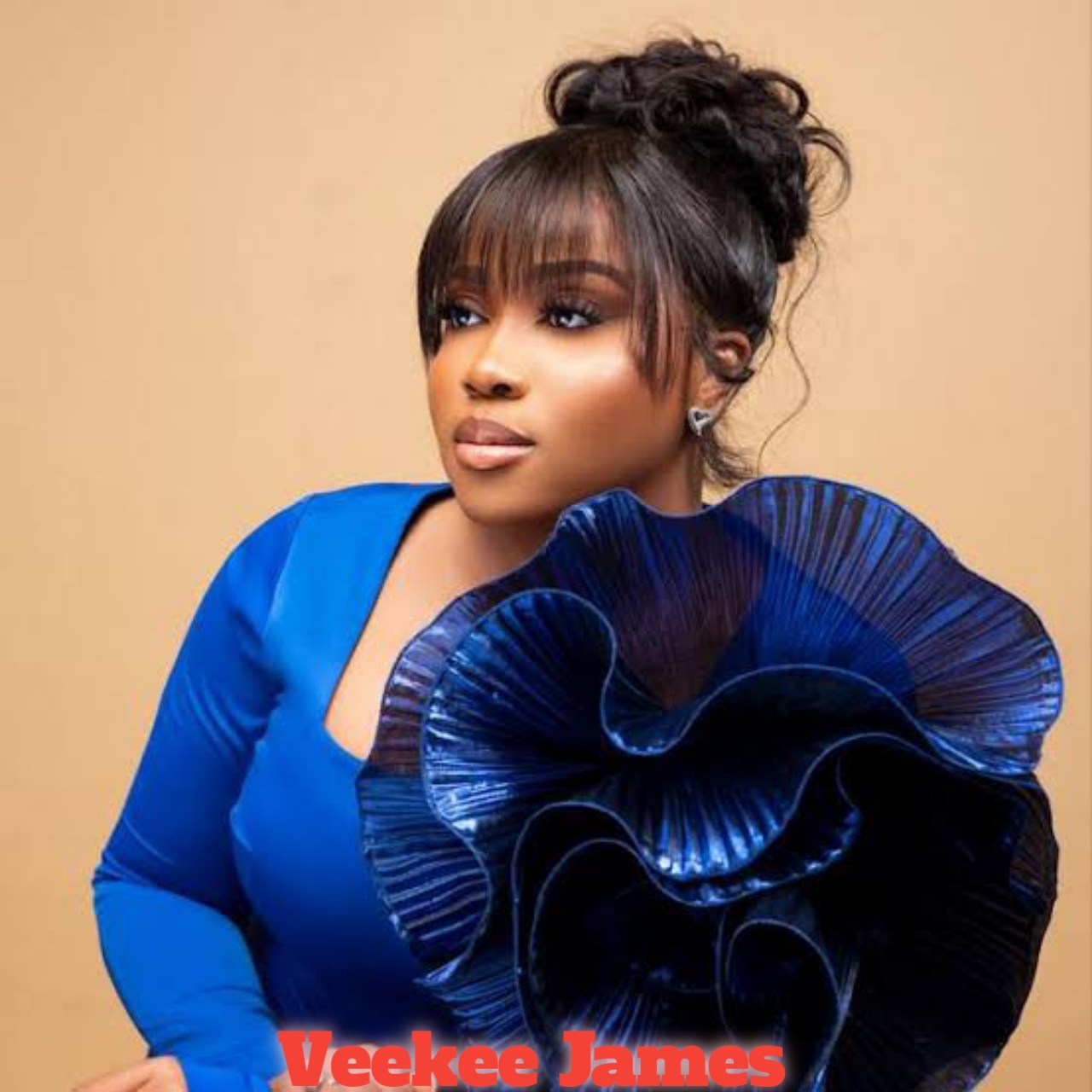 Veekee James Biography:- Age, Education, Religion, Net Worth, Parents, Husband, Children, Social Media Followers, Achievement